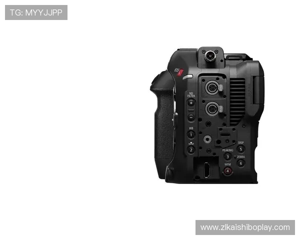 尊龙z6.com手机登录遇到问题怎么办详细步骤指导帮助玩家顺利解决登录难题