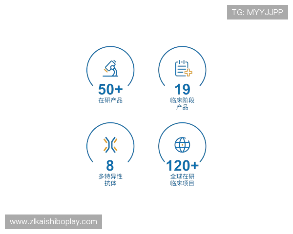尊龙z6网娱乐app最新版本下载安装指南与安全保障详解