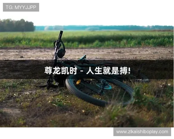 尊龙凯时人生就是搏app下载助力玩家打造属于自己的专属游戏空间